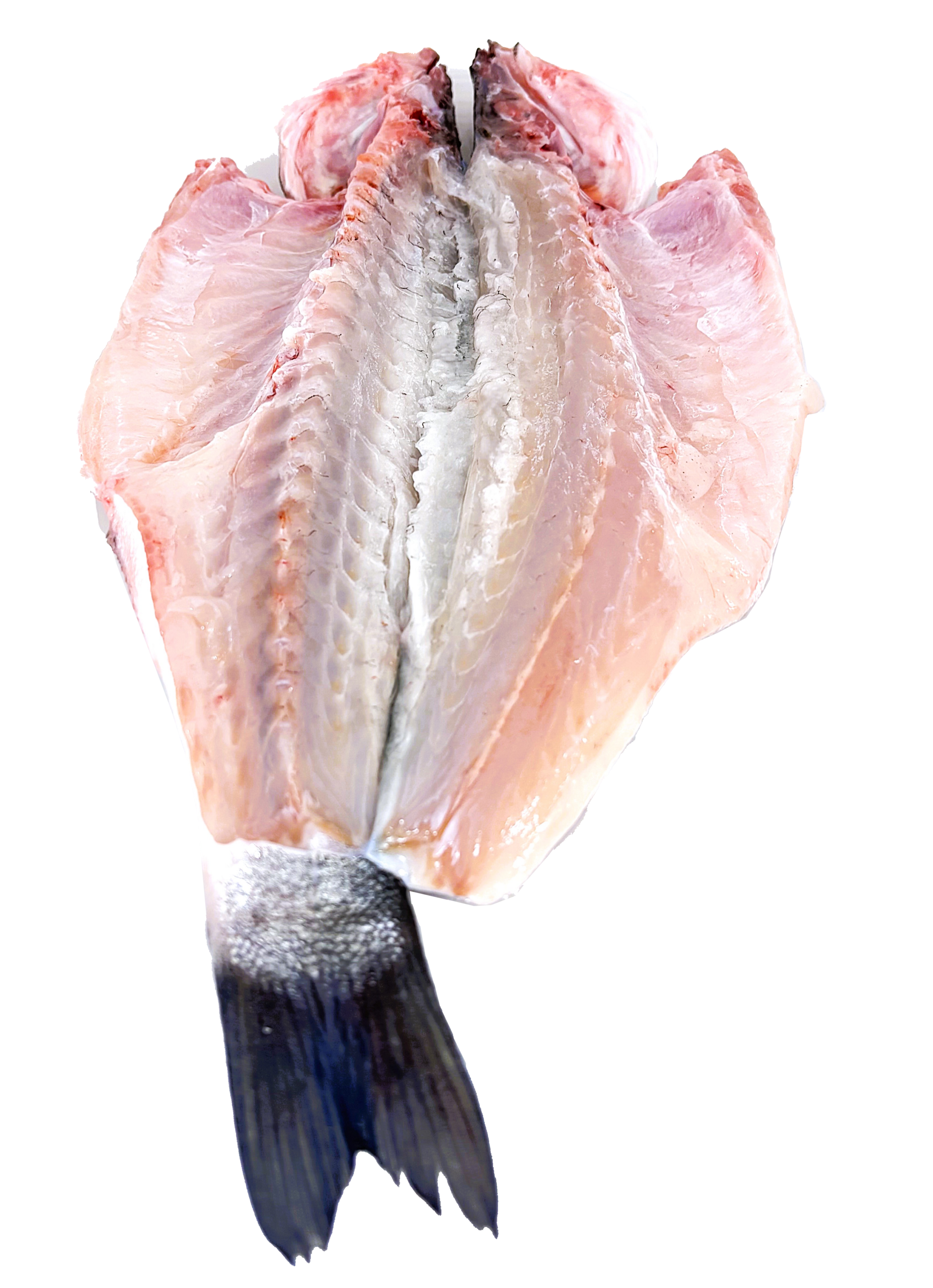 LUBINA ABIERTA CONGELADA